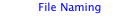 File Naming